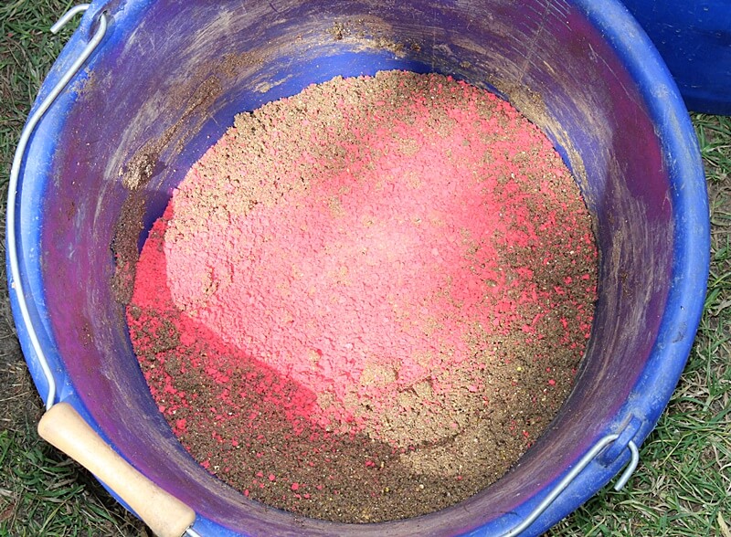 Nęcenie ryby – odpowiednia zanęta